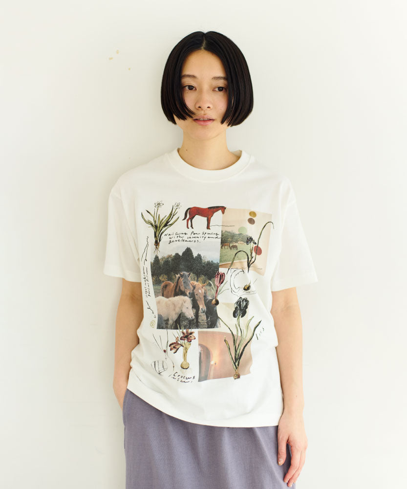 馬と球根花 半袖Tシャツ