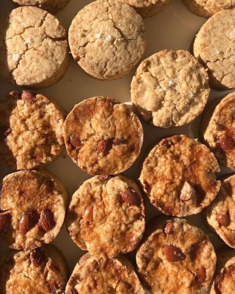 【予約】scone X'mas special set