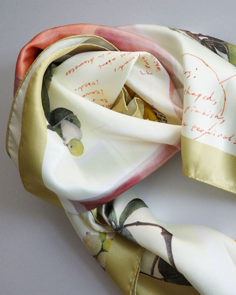 printed scarf LEMON /vent de moe