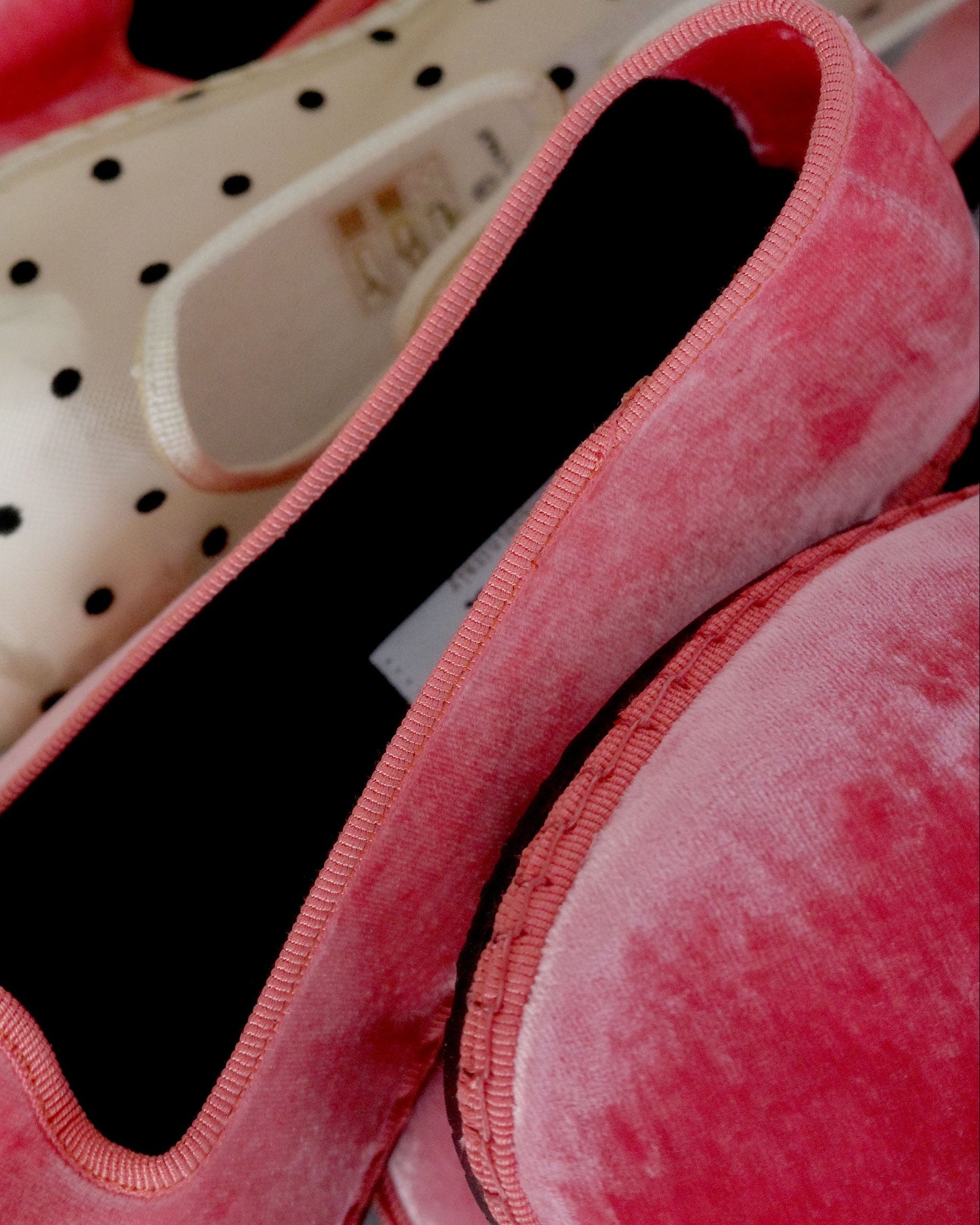 Sciuscià(シューシャ)TRAGARA PEACHI PIE